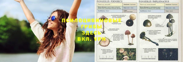бутик Бородино
