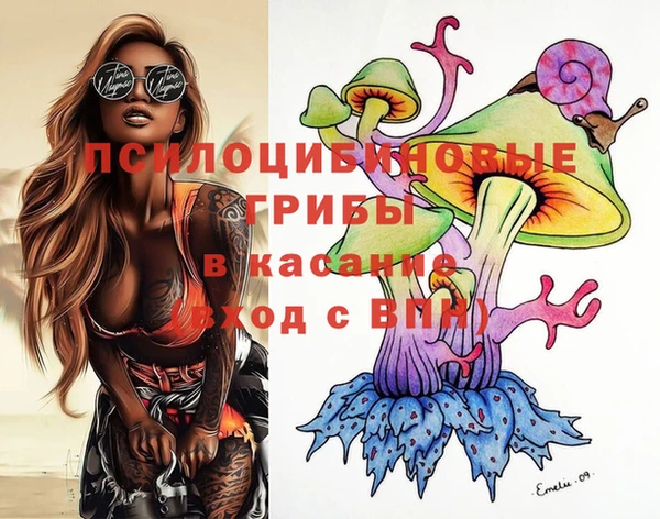 соль ск Бронницы