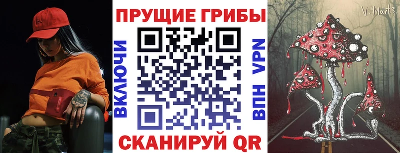 Купить  Киржач  Псилоцибиновые грибы Cubensis 